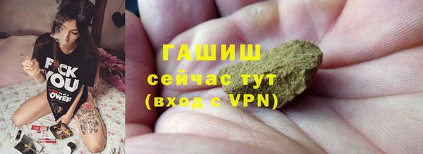 прущие грибы Коряжма