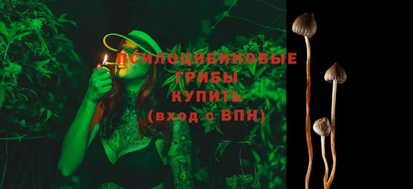 прущие грибы Коряжма