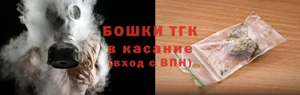 прущие грибы Коряжма