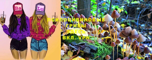 apvp Красноперекопск