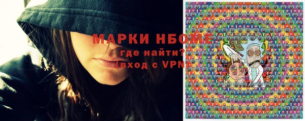 прущие грибы Коряжма