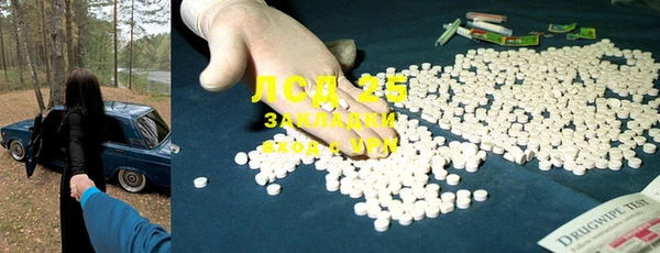 крисы Краснослободск